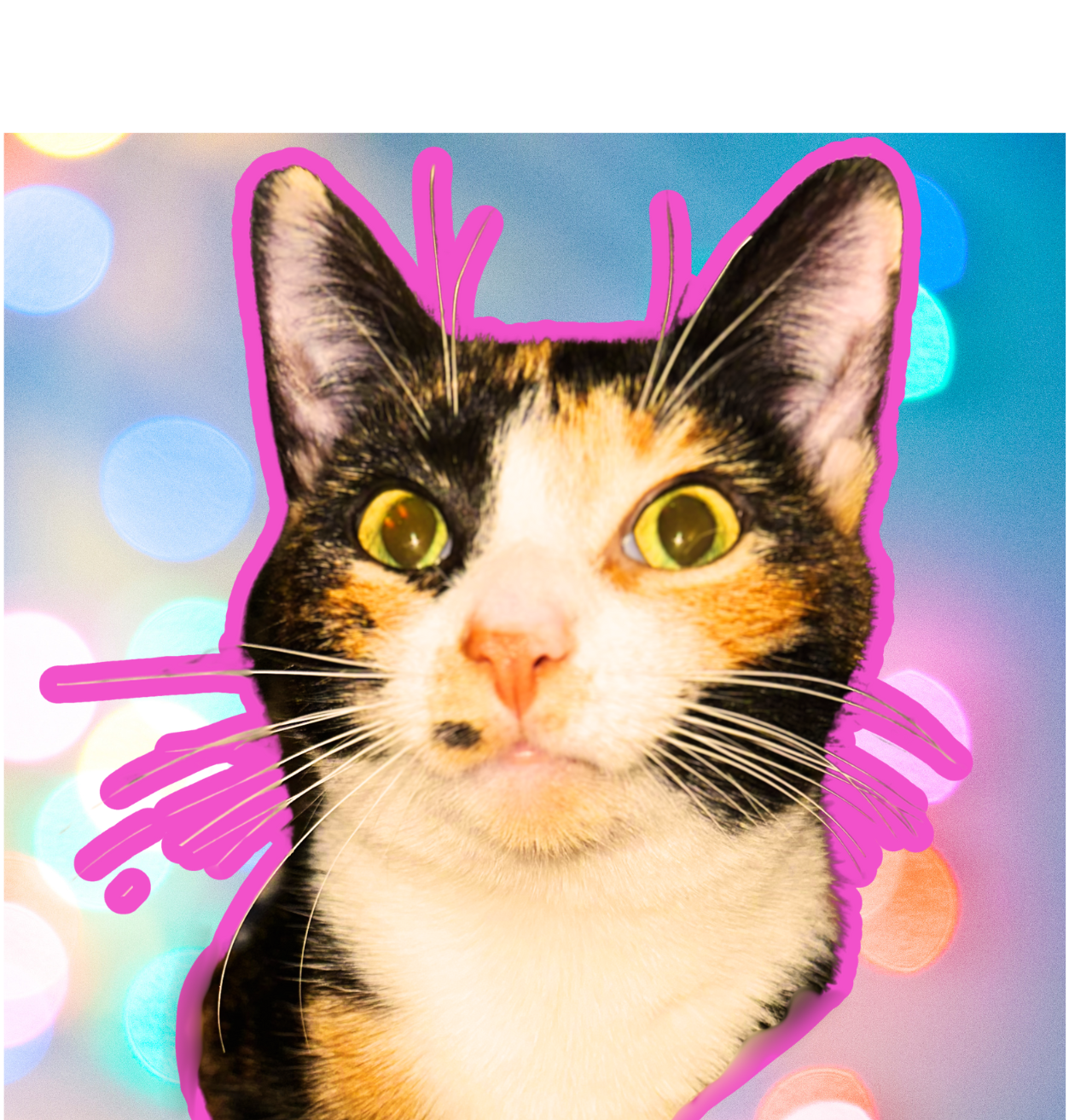 Don’t Forget Your 99 Cent Digital Bundles!